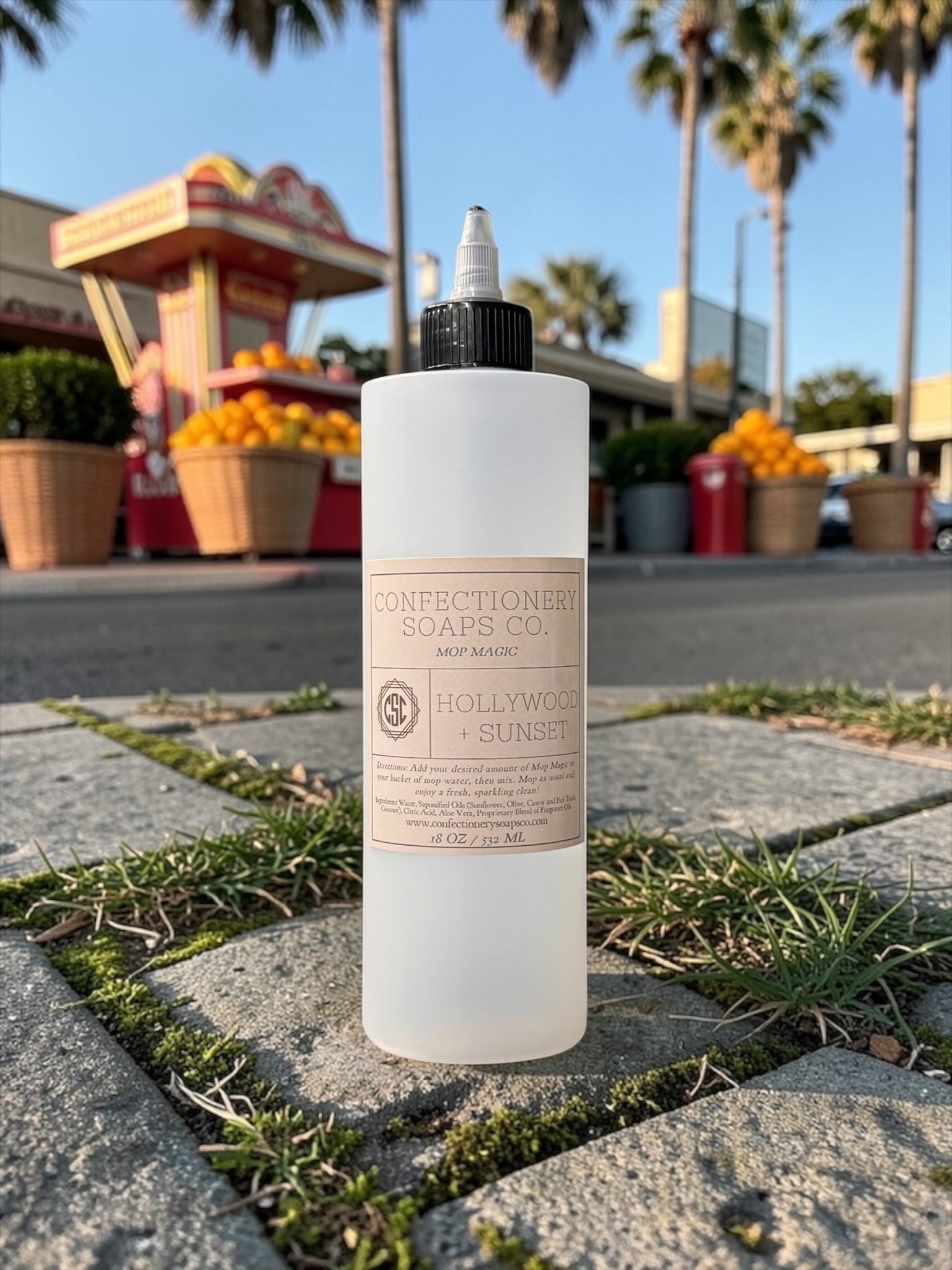 Hollywood + Sunset Mop Magic