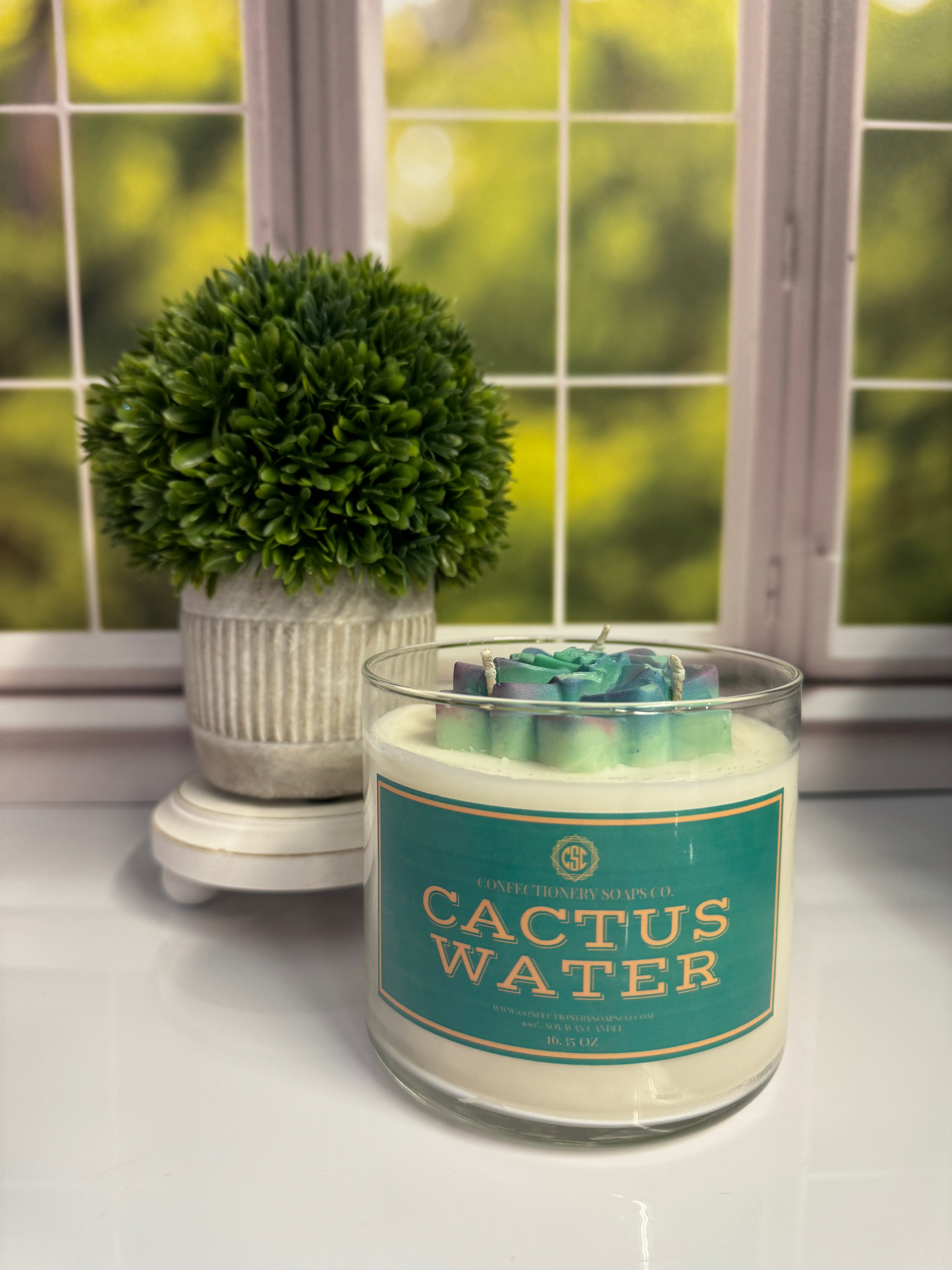 Cactus Water 16 oz glass Candle