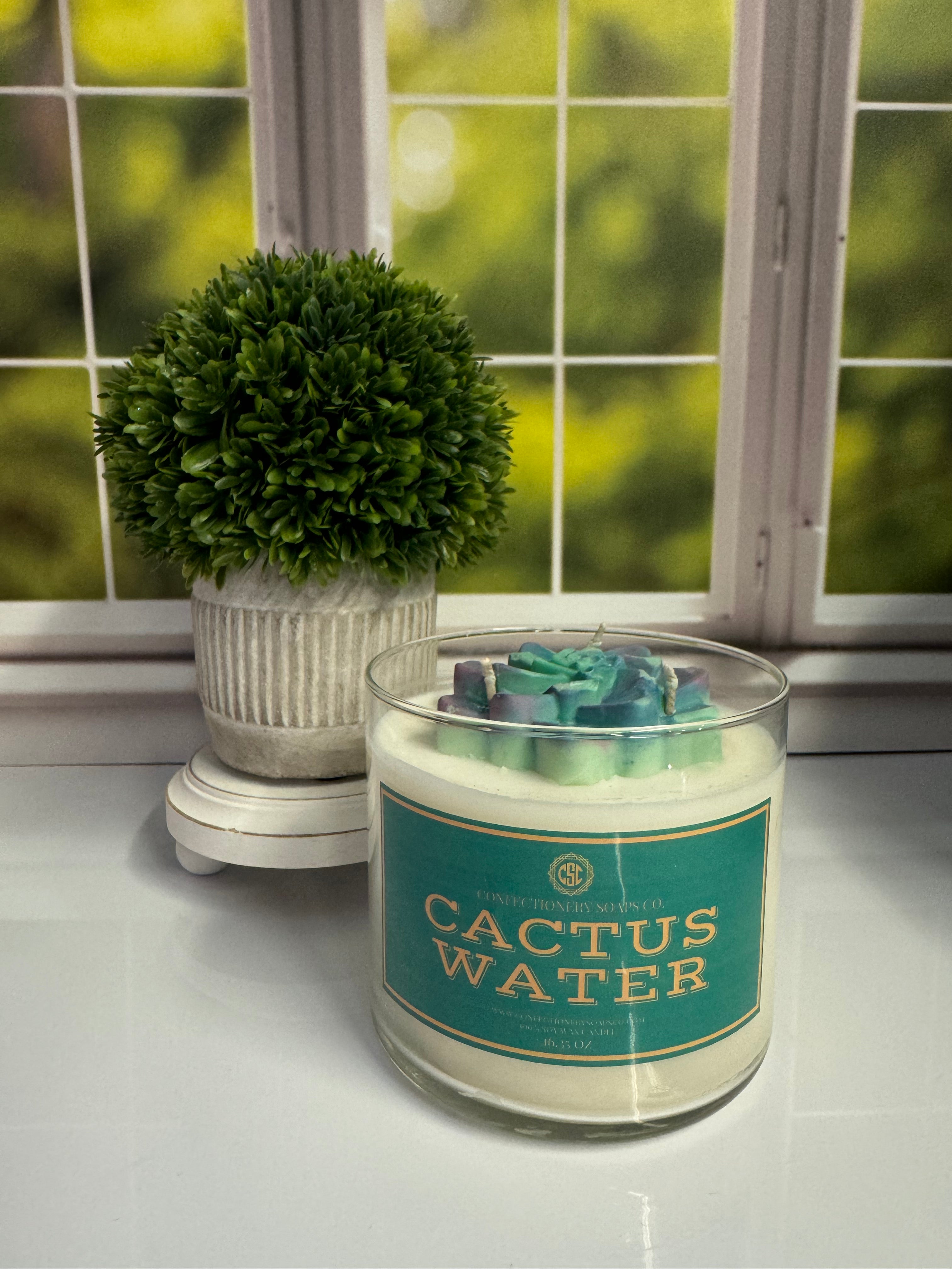 Cactus Water 16 oz glass Candle